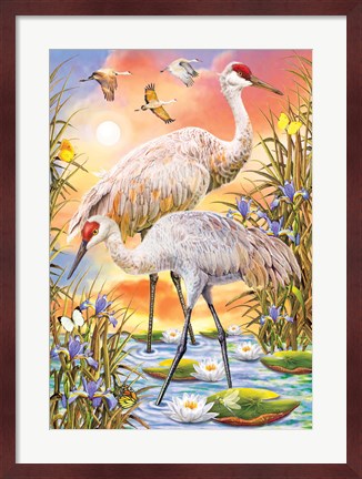 Framed Sandhill Cranes Print