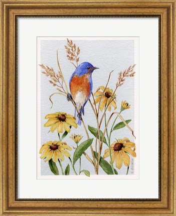 Framed Bluebird And Blackeyed Susans Print