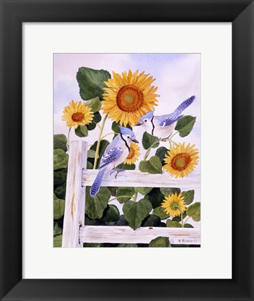 Framed Bluejays And Sunflowers Print
