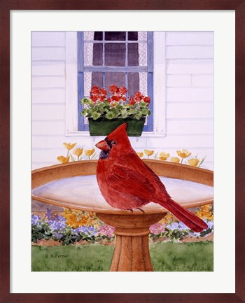 Framed Cardinal And Geraniums Print