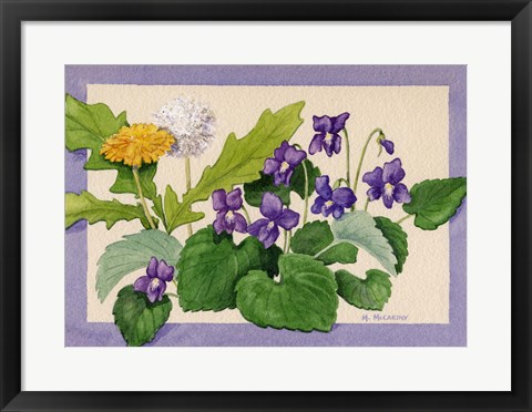 Framed Dandelion And Violets Print