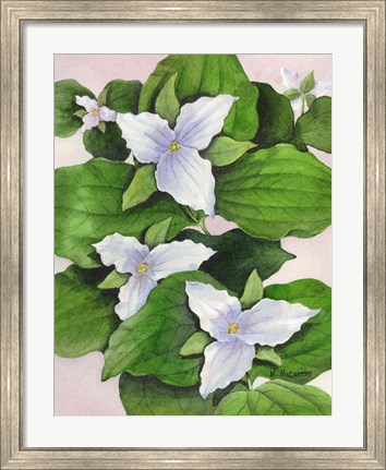 Framed Large Flowered White Print