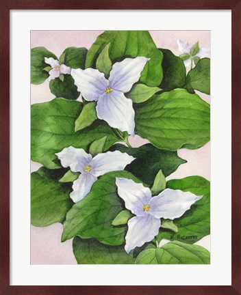 Framed Large Flowered White Print