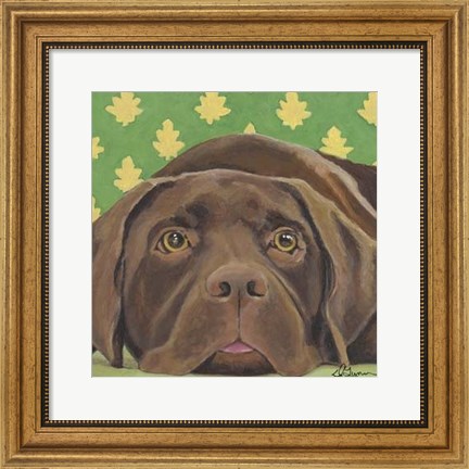 Framed Dlynn&#39;s Dogs - Casey Print