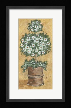 Framed Weathered Topiaries I Print