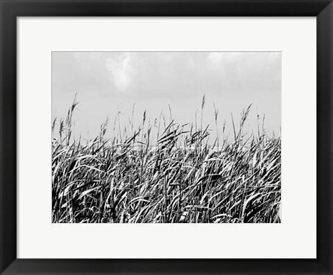 Framed Dune Triptych I Print