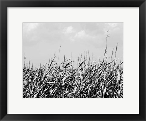 Framed Dune Triptych II Print