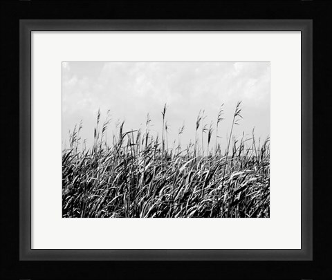 Framed Dune Triptych III Print