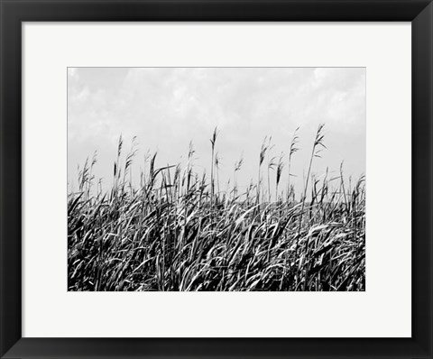 Framed Dune Triptych III Print