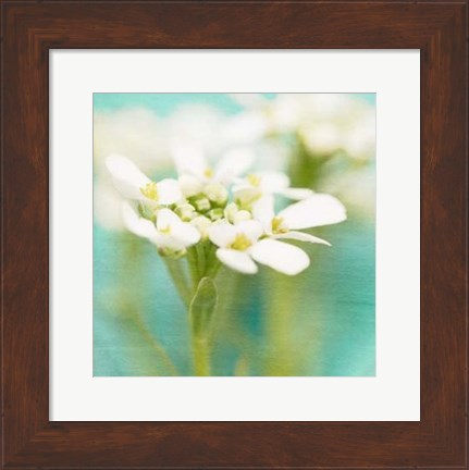 Framed White Flowers I Print
