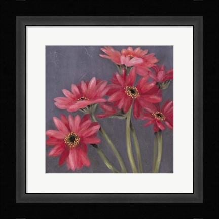 Framed Gerbers on Grey II Print