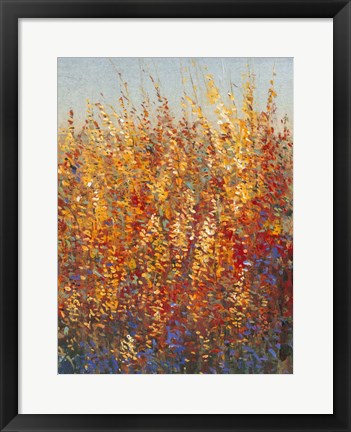 Framed High Desert Blossoms I Print