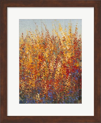 Framed High Desert Blossoms I Print
