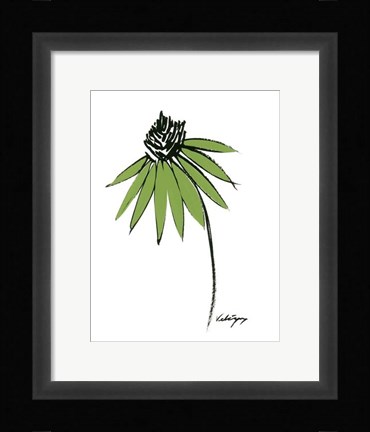 Framed Graphic Cone Flower I Print