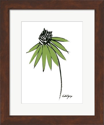 Framed Graphic Cone Flower I Print