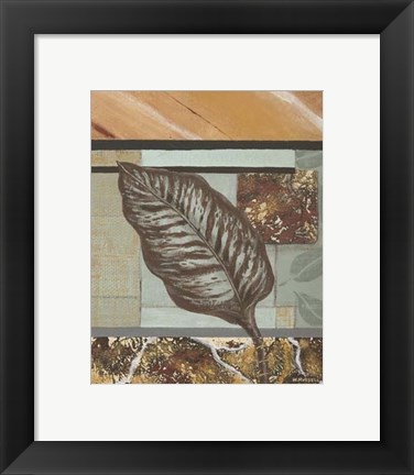 Framed Exotic by Nature IV Print