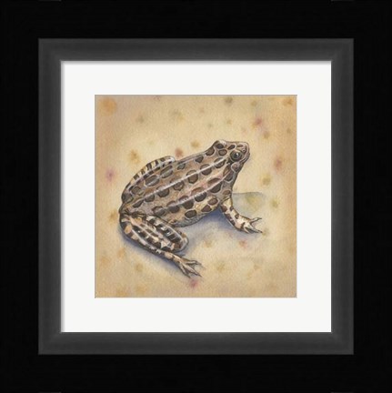 Framed Pond Critters I Print
