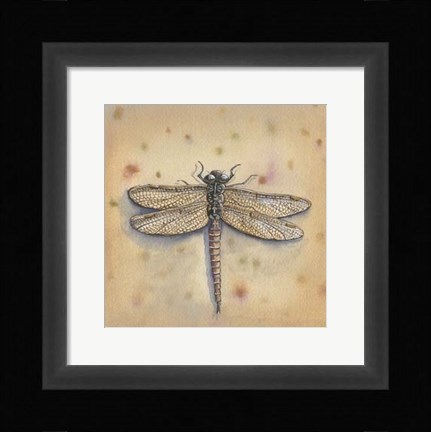 Framed Pond Critters II Print