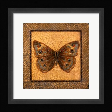 Framed Crackled Butterfly - Buckeye Print