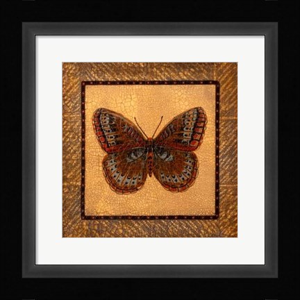 Framed Crackled Butterfly - Fritillary Print