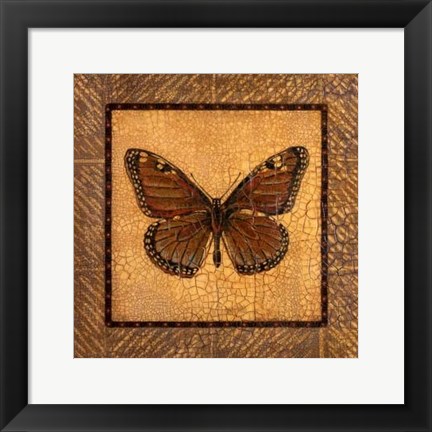 Framed Crackled Butterfly - Monarch Print