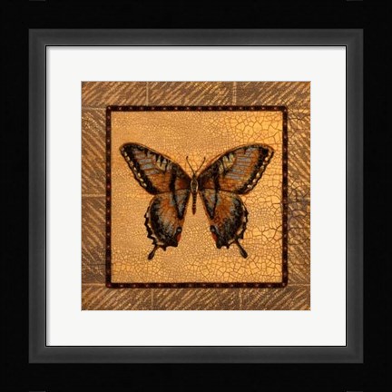 Framed Crackled Butterfly - Swallowtail Print
