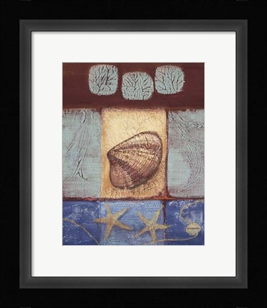 Framed Aquamarine Clam Print