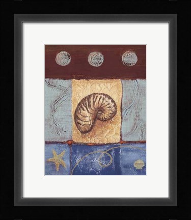 Framed Aquamarine Nautilus Print