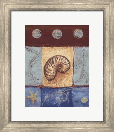 Framed Aquamarine Nautilus Print