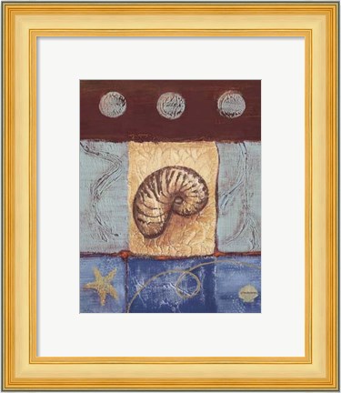 Framed Aquamarine Nautilus Print