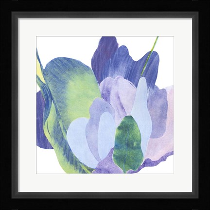 Framed False Indigo II Print
