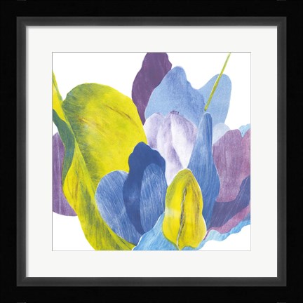 Framed False Indigo III Print