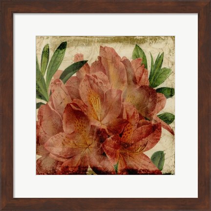 Framed Vibrant Floral VII Print