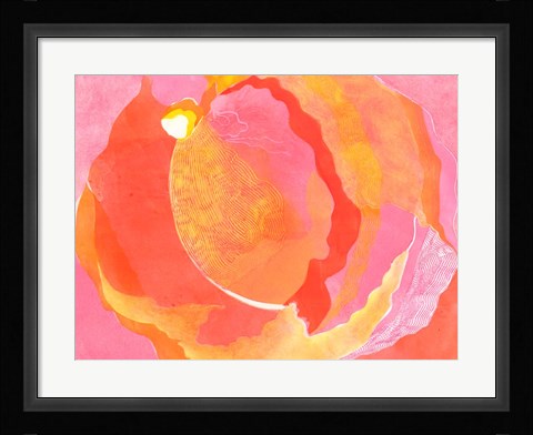Framed Cabbage Rose I Print