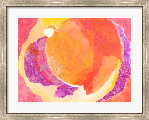 Framed Cabbage Rose V Print