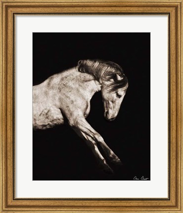 Framed Horse Portrait IV Print