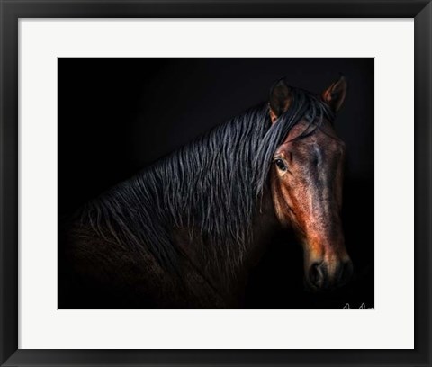 Framed Horse Portrait VII Print