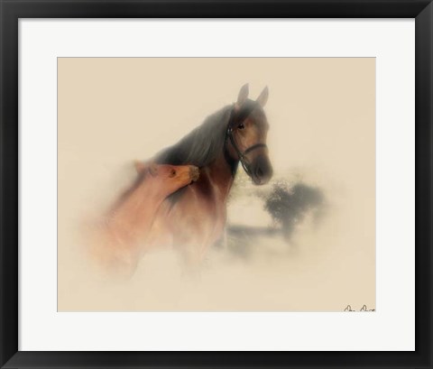 Framed Horse Portrait X Print