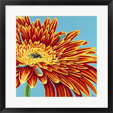 Framed Color Bursts I Print