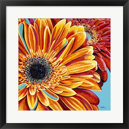 Framed Color Bursts II Print