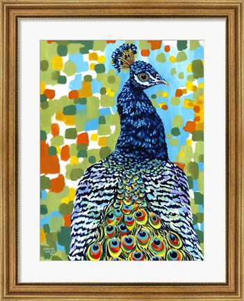Framed Plumed Peacock II Print