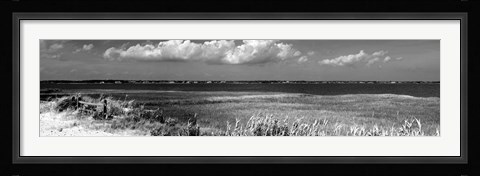 Framed Shore Panorama VII Print