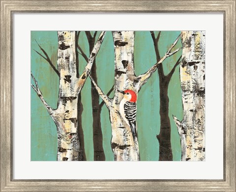 Framed Birch Grove on Teal II Print