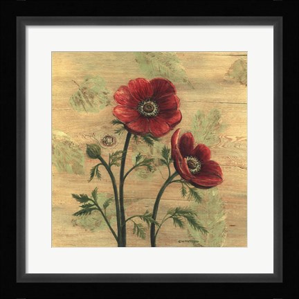 Framed Anemone on Wood Print