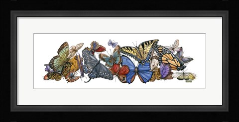 Framed Wings of Splendor I Print