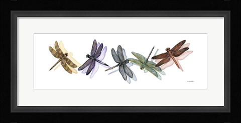 Framed Wings of Splendor II Print