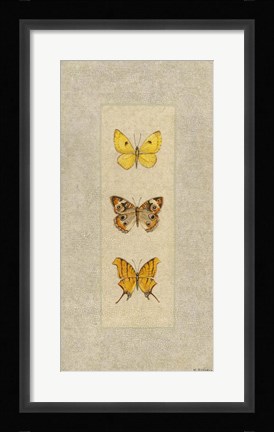 Framed Butterfly Trio I Print