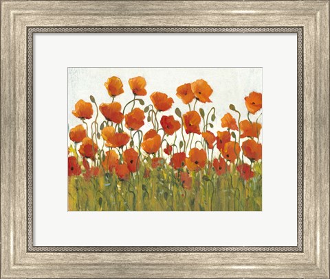 Framed Rows of Poppies I Print