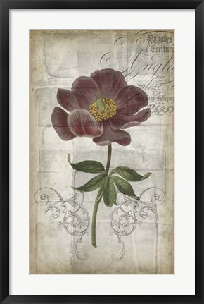 Framed French Floral I Print