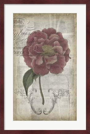 Framed French Floral III Print